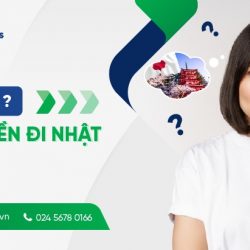 Muốn đi Nhật nhưng không có tiền: Chọn đơn hàng đi Nhật miễn phí 100%