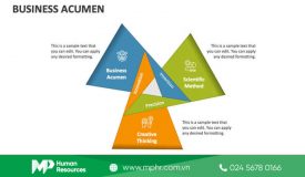 Business Acumen là gì? Các kỹ năng cần có để cải thiện sự nhạy bén?